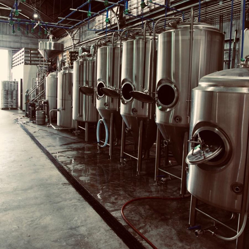 Microbrewery Packages | 3.5-15 BBL