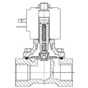 0.75 in. | Solenoid Valve | 304 24VDC